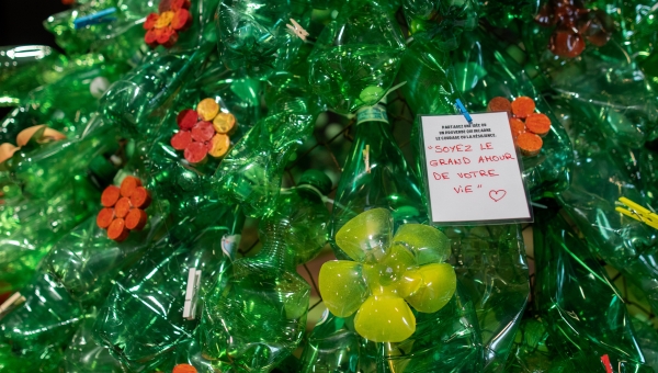 Les sapins porte-paroles, ou comment soutenir les victimes de violences à travers les mots